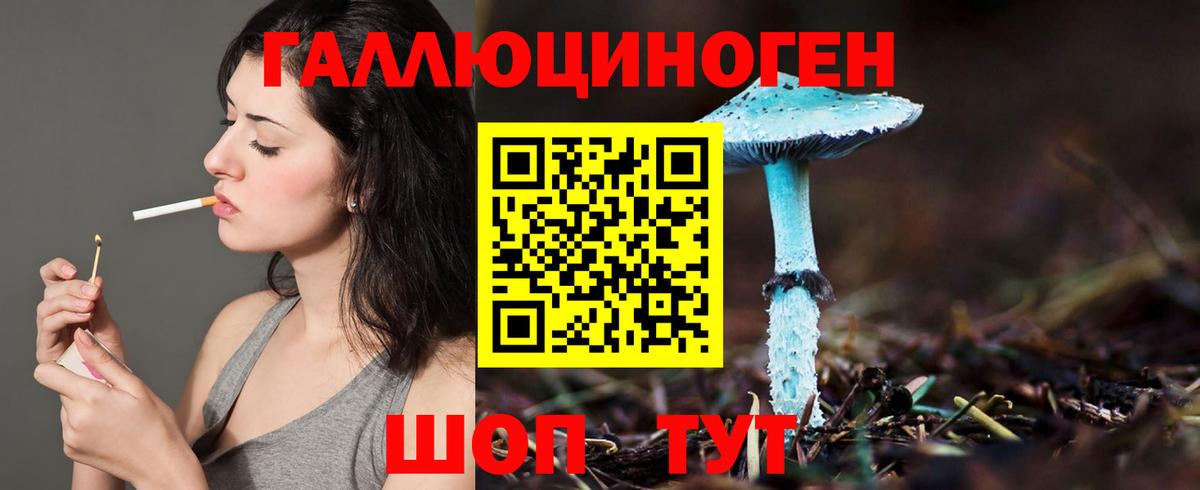 Псилоцибиновые грибы мухоморы  Вход с VPN  Семёнов  Псилоцибиновые грибы прущие грибы 