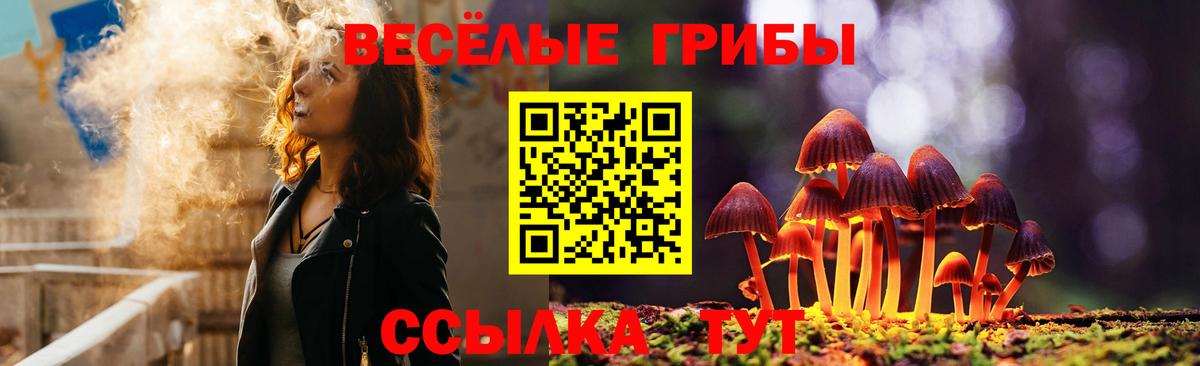 Псилоцибиновые грибы Psilocybine cubensis Семёнов