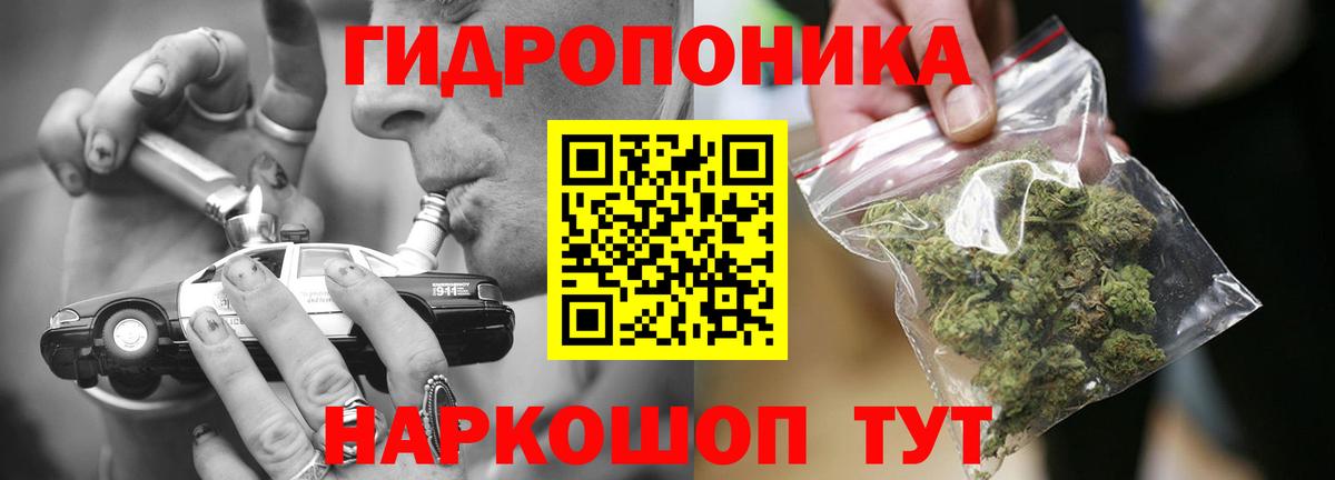 Бошки Шишки планчик Семёнов